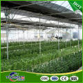 Quality assured modern design cherry planting greenhouse film